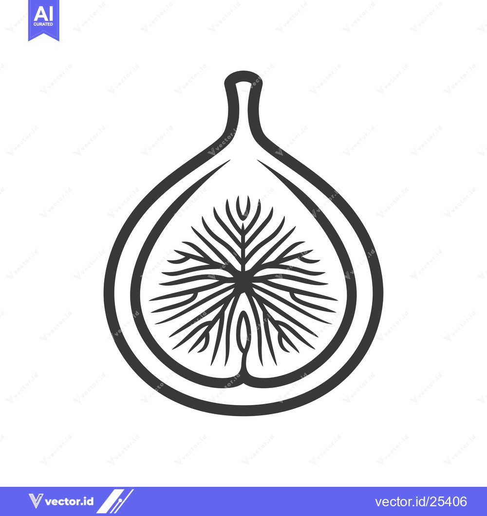 Premium Vector dari Black and white line drawing of a halved fig