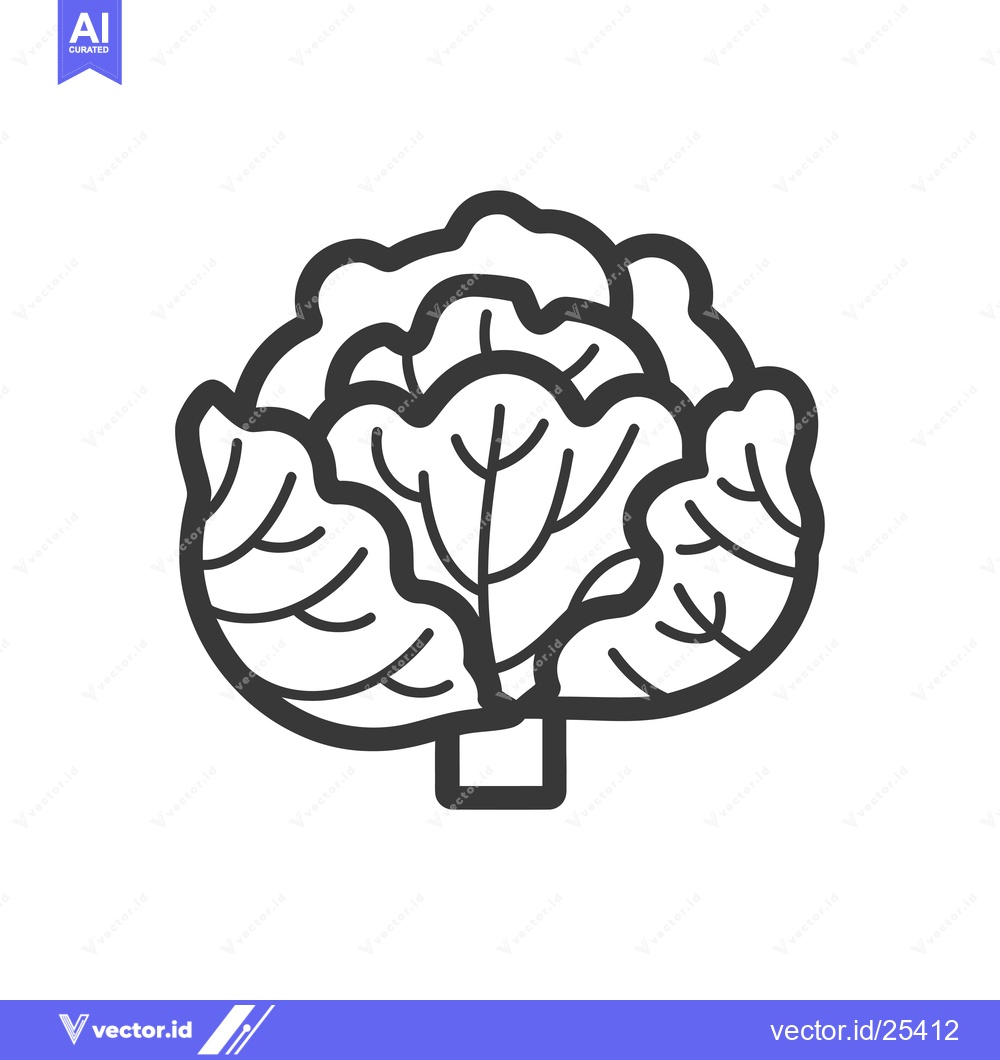 Premium Vector of Black and White Line Drawing of a Head of Cabbage