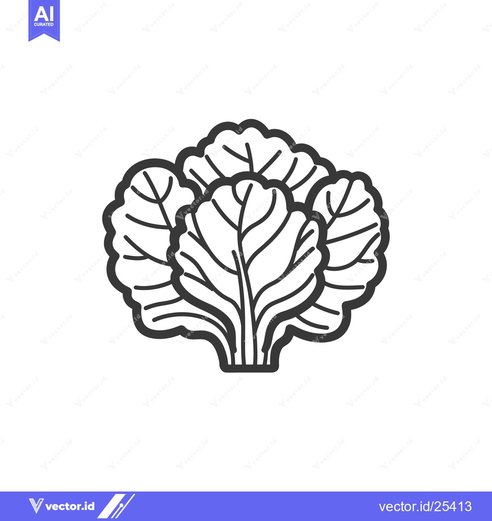 Premium Vector dari Black and White Line Drawing of a Head of Lettuce