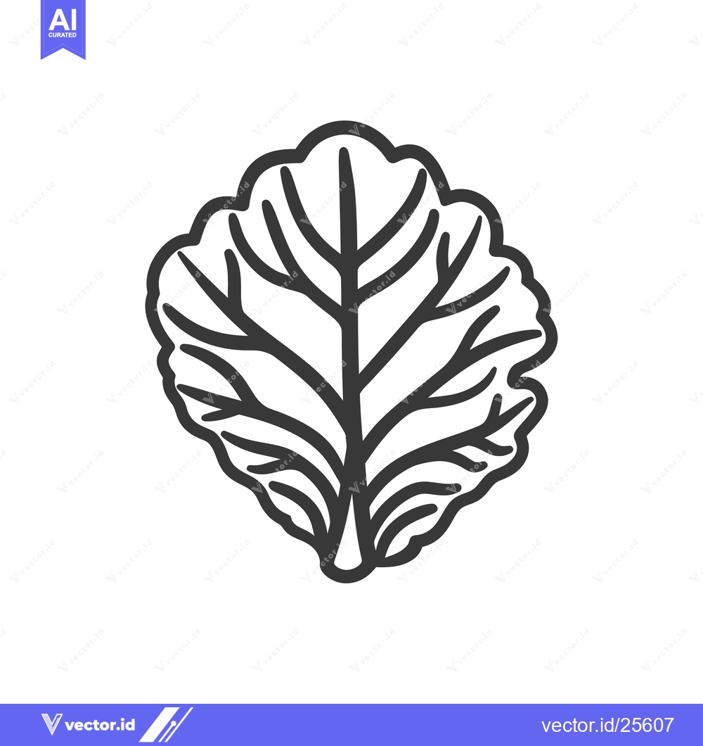 Premium Vector of Black and White Line Drawing of a Single Cabbage Leaf