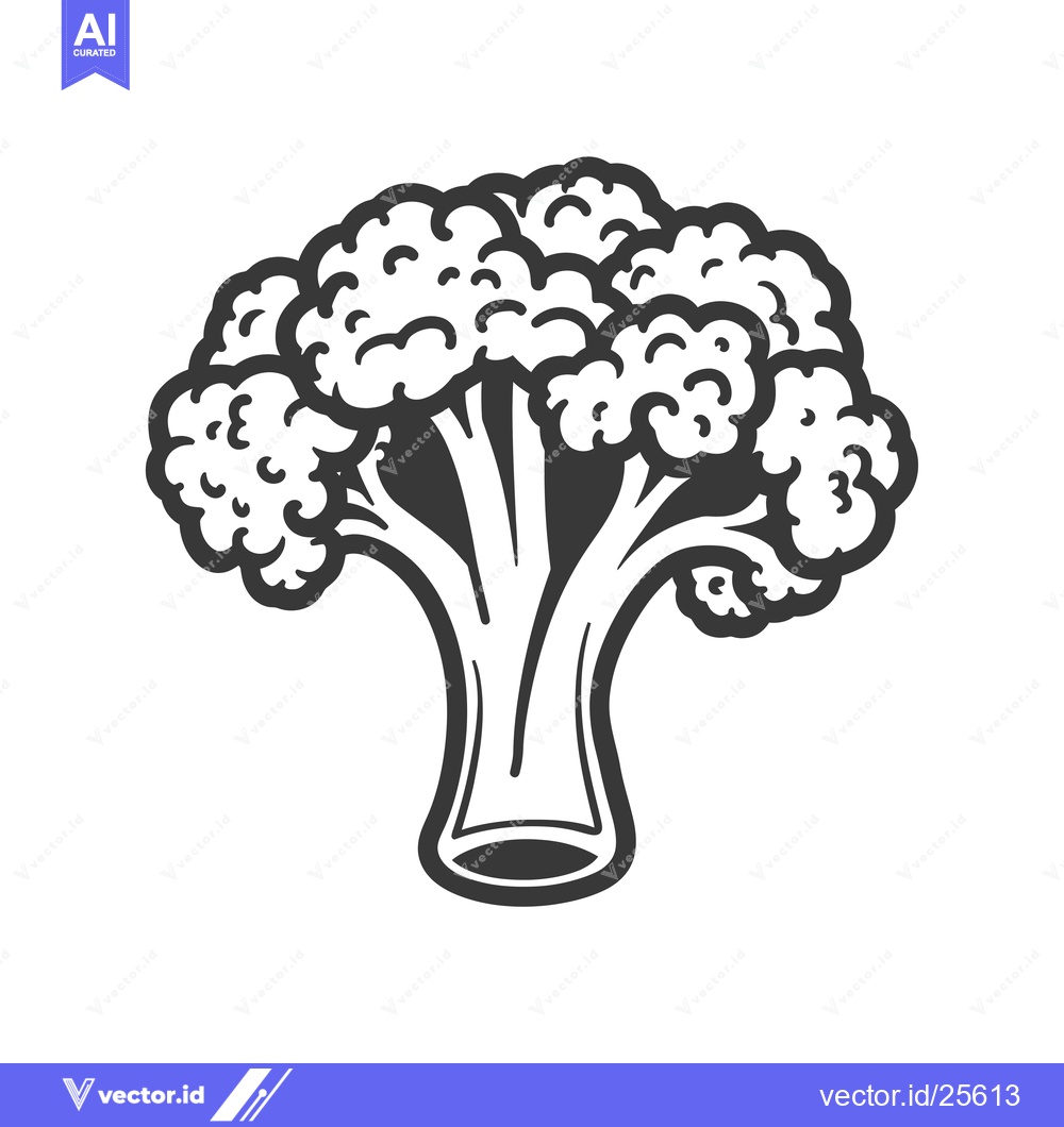Premium Vector of Black and White Line Drawing of a Single Head of Broccoli