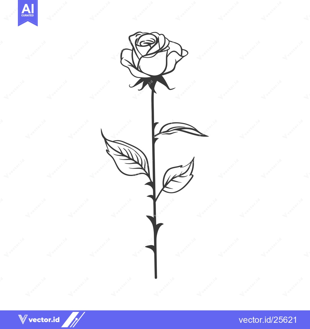 Premium Vector dari Black and White Line Drawing of a Single Rose