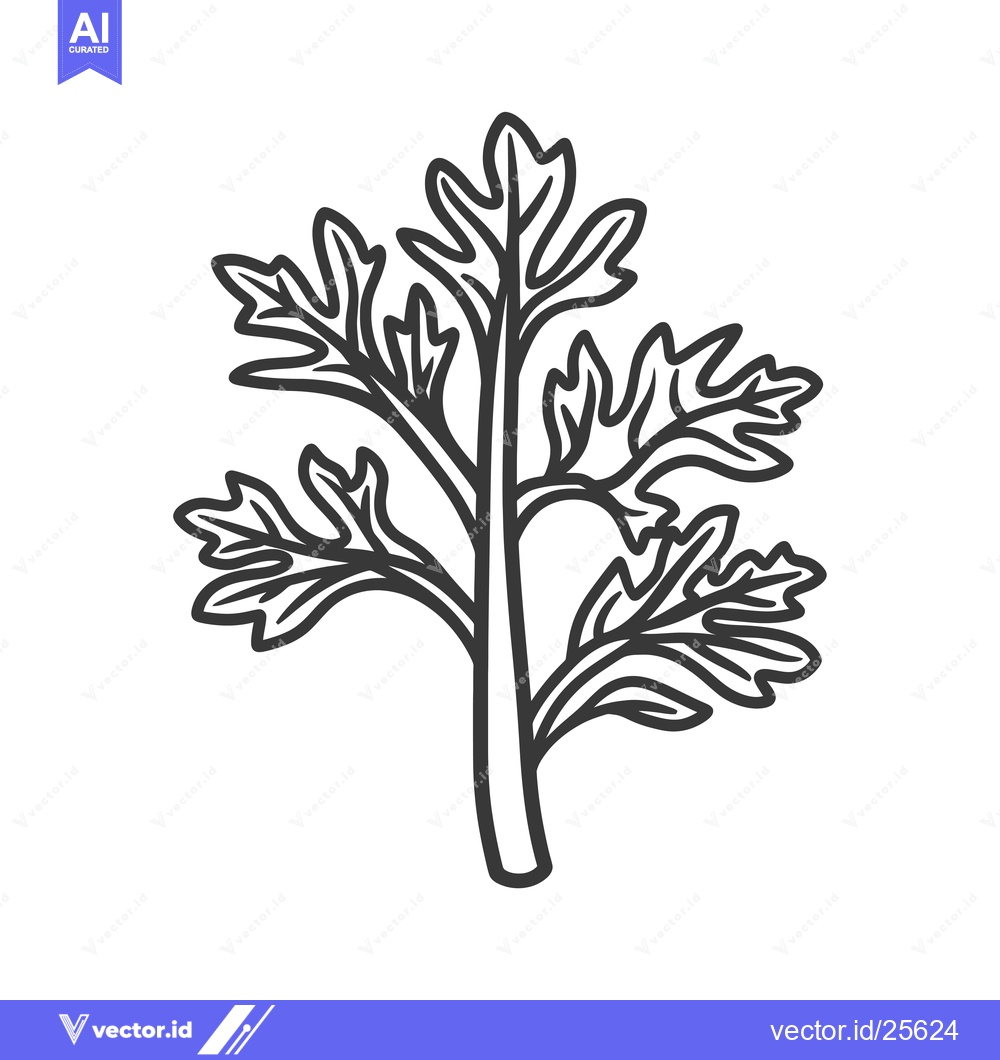 Premium Vector of Black and White Line Drawing of a Single Sprig of Parsley