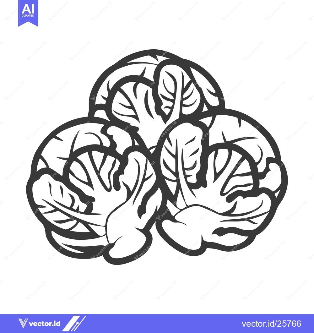 Premium Vector of Black and White Line Drawing of Three Brussels Sprouts