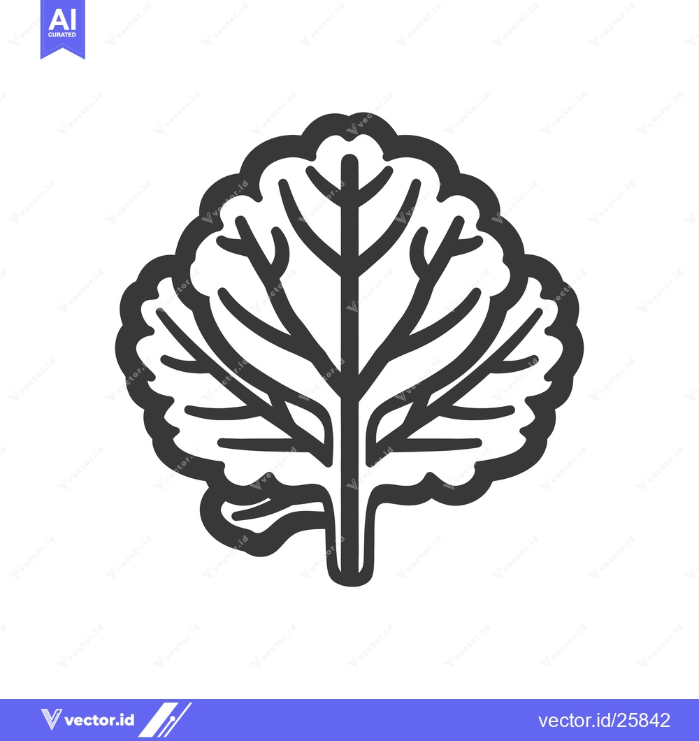 Premium Vector dari Black and White Outline Drawing of a Cabbage Leaf