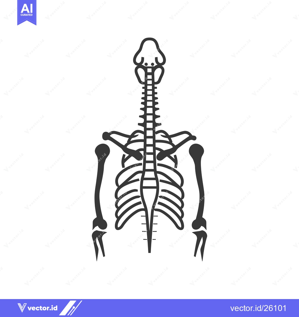 Premium Vector dari Black and White Outline of Upper Human Skeleton