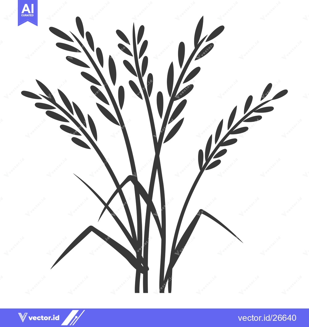Premium Vector of Black and White Silhouette of Rice Plants