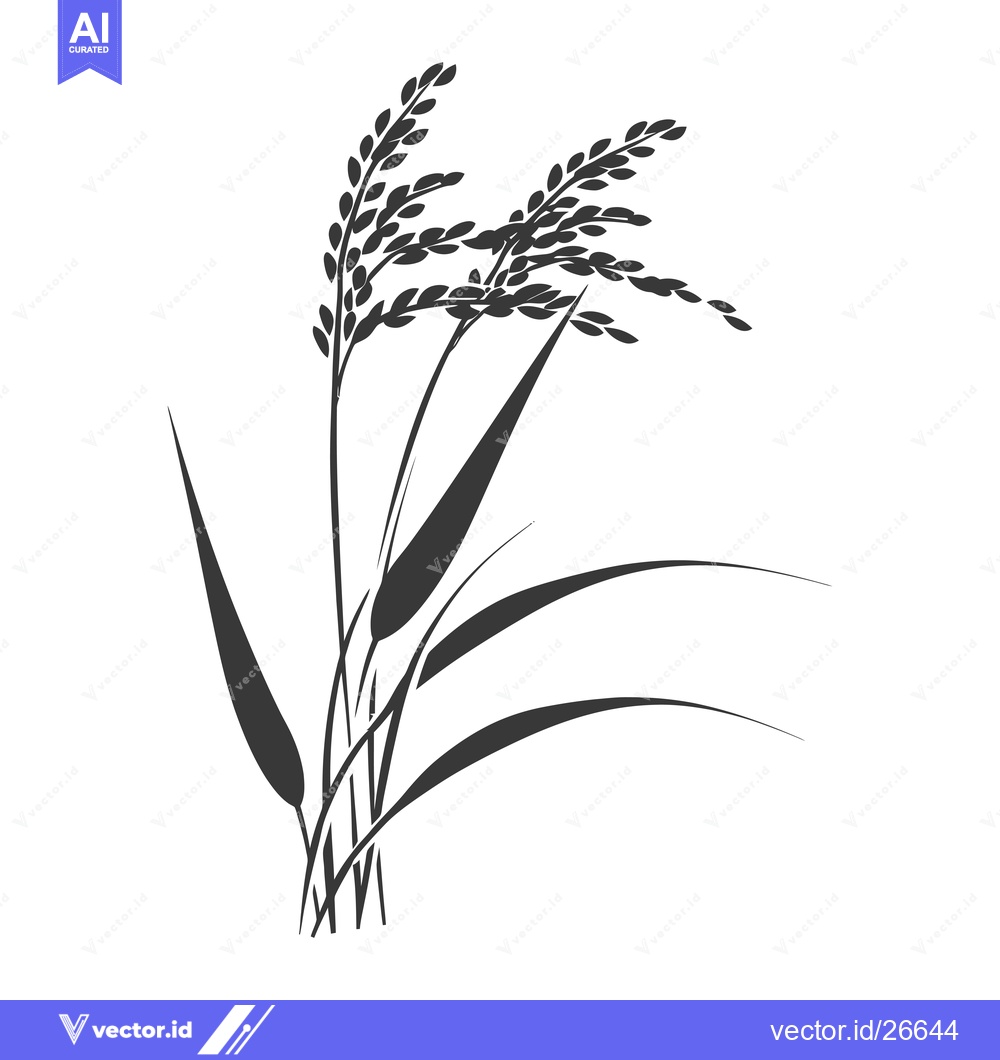 Premium Vector dari Black and White Silhouette of Rice Stalks