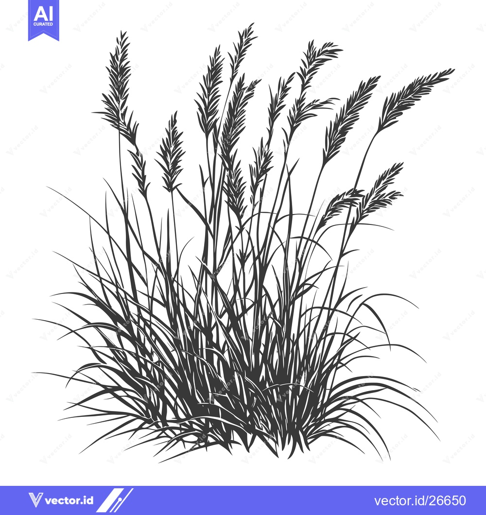Premium Vector dari Black and White Silhouette of Tall Grass with Seed Heads