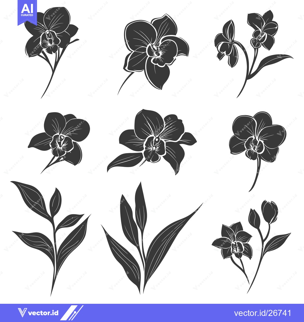 Premium Vector dari Black and White Silhouettes of Orchid Flowers and Leaves