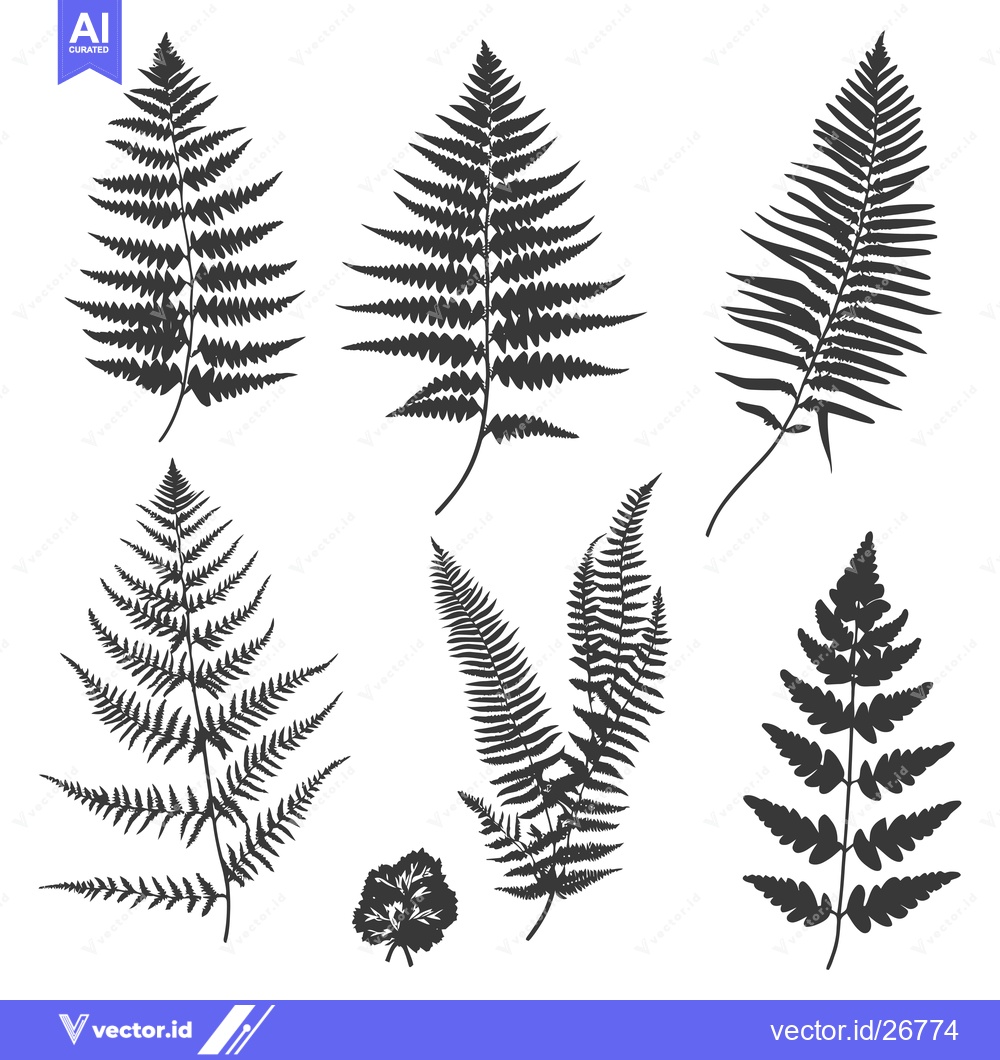 Premium Vector dari Black and White Silhouettes of Various Fern Leaves