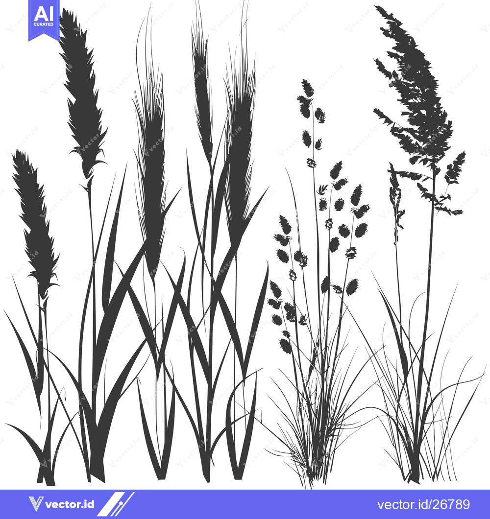 Premium Vector dari Black and White Silhouettes of Various Grass and Wildflowers