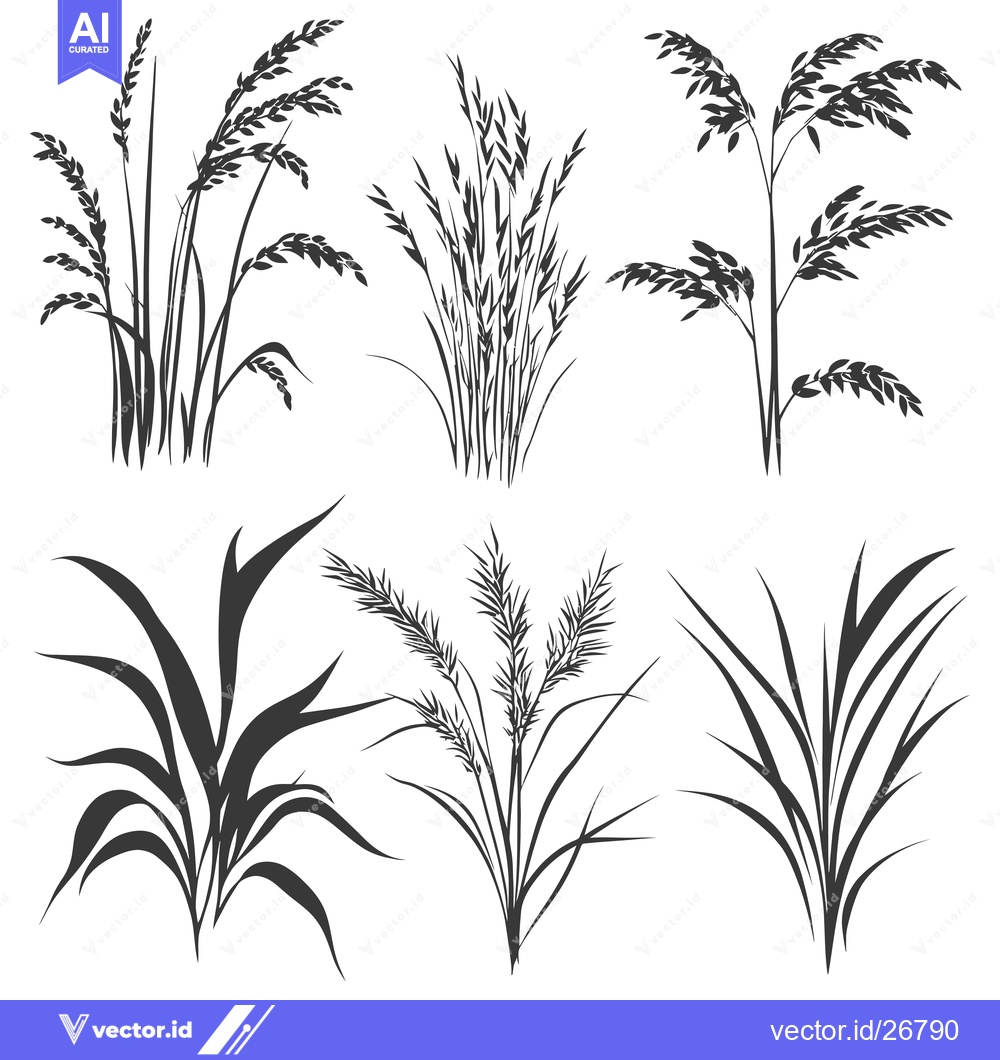 Premium Vector of Black and White Silhouettes of Various Grass Species