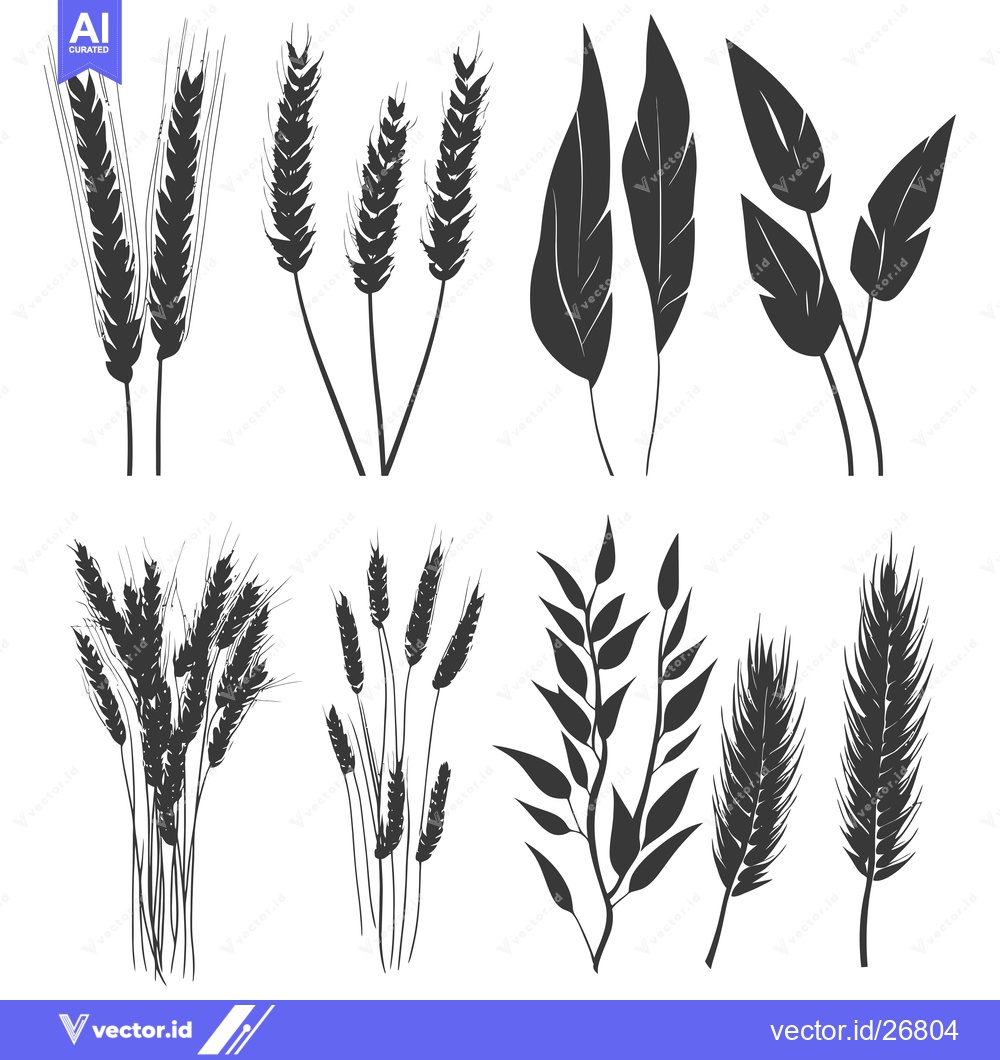 Premium Vector of Black and White Silhouettes of Wheat and Leaves