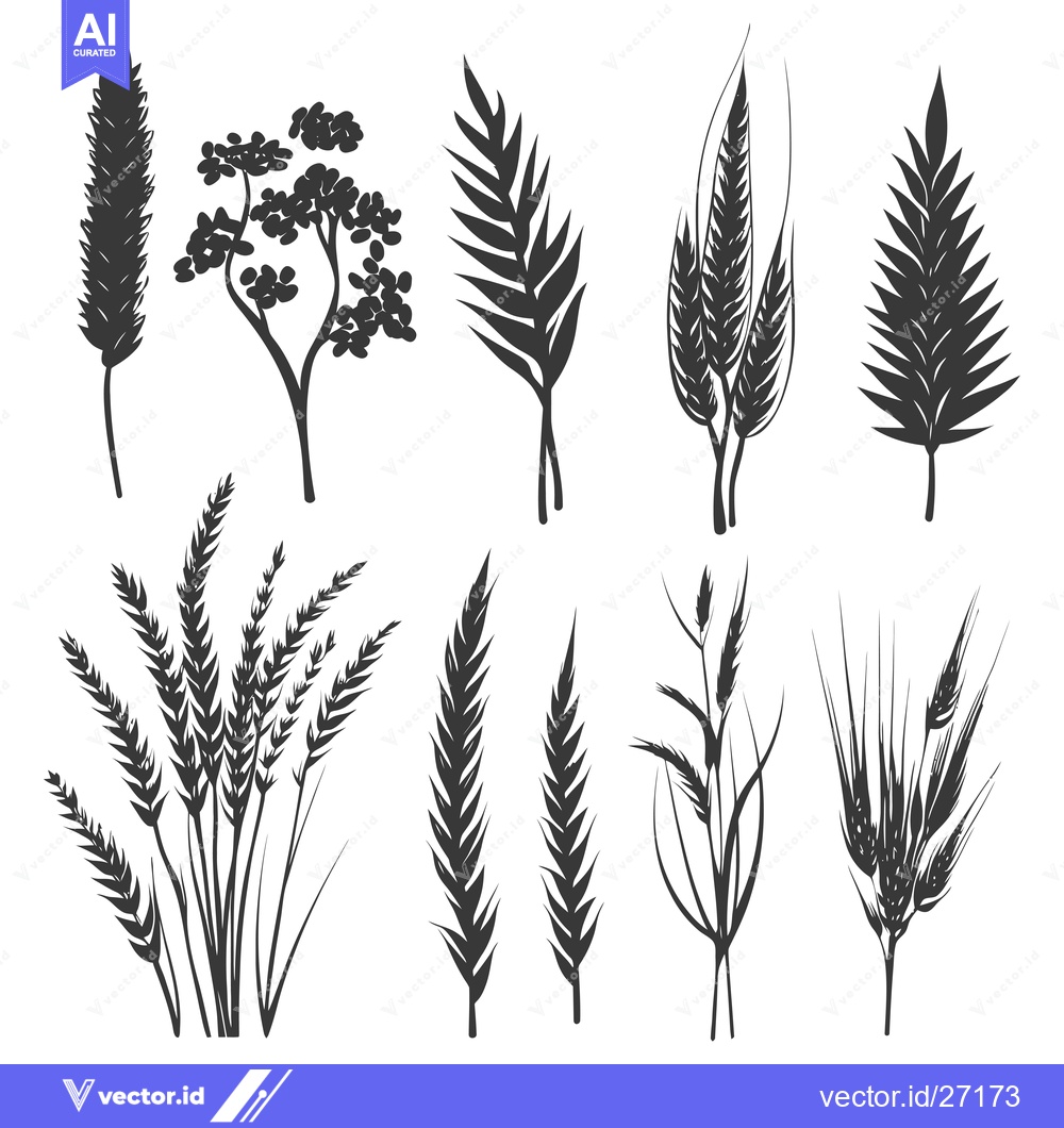 Premium Vector dari Black Silhouettes of Various Grass and Grain Species