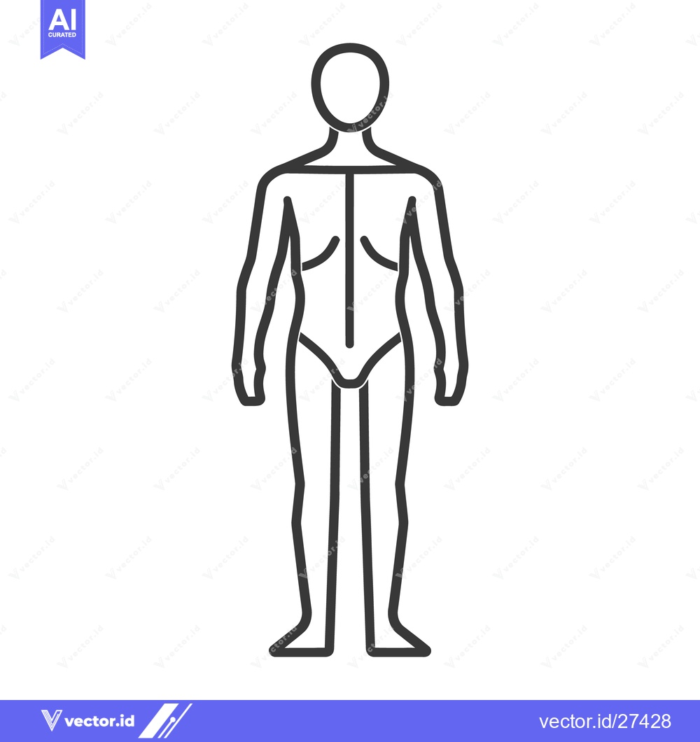 Premium Vector dari A simple line drawing depicting the front of a human body