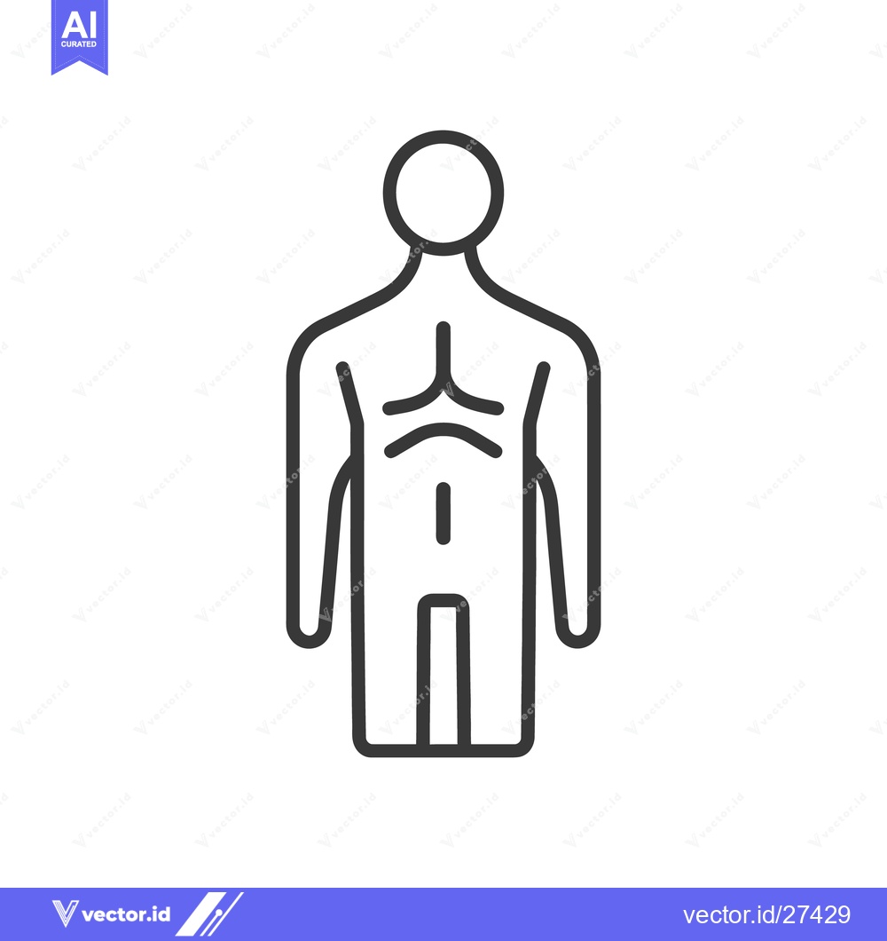 Premium Vector of A simple linear depiction of the human body from the back