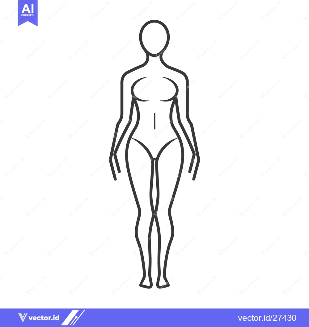 Premium Vector dari A line drawing illustration showing the front view of a human body