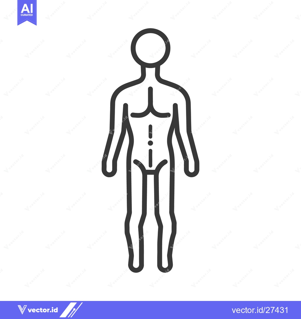 Premium Vector dari Simple illustration depicts the human body in a standing posture