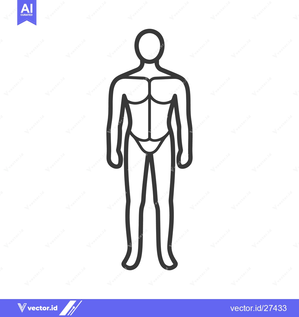 Premium Vector of An outline drawing depicts a male figure with muscular body form