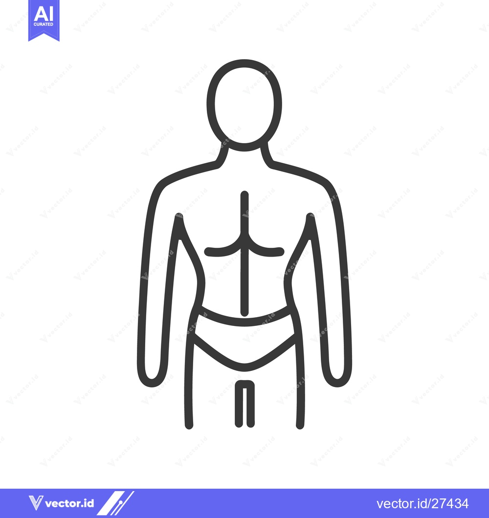 Premium Vector of Simple line art illustration of the human male torso