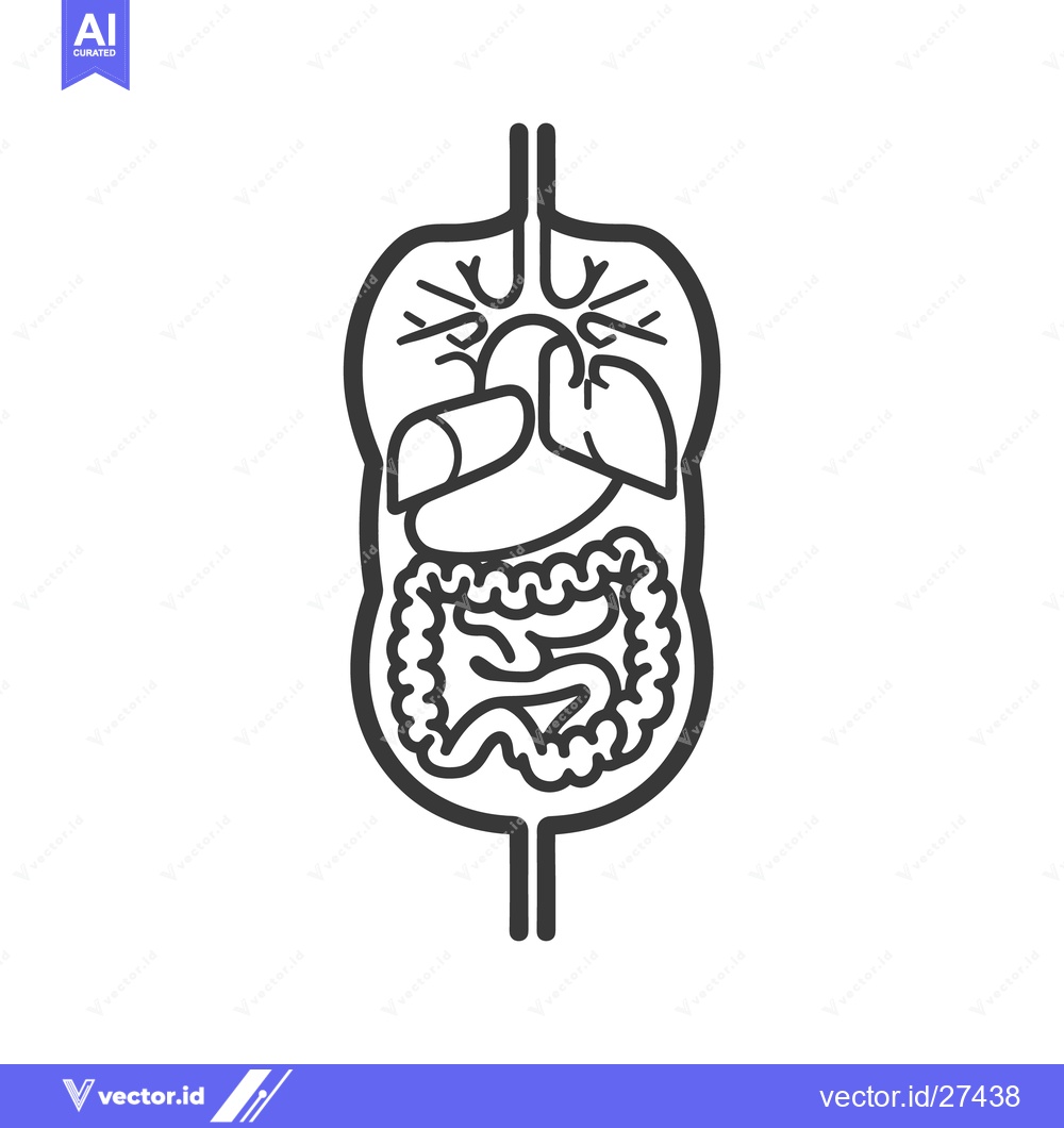 Premium Vector dari A schematic black and white illustration of human internal organs