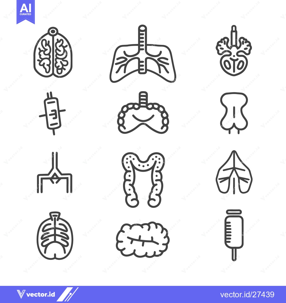 Premium Vector of Outlined Diagrams Representing Various Human Internal Bodily Systems