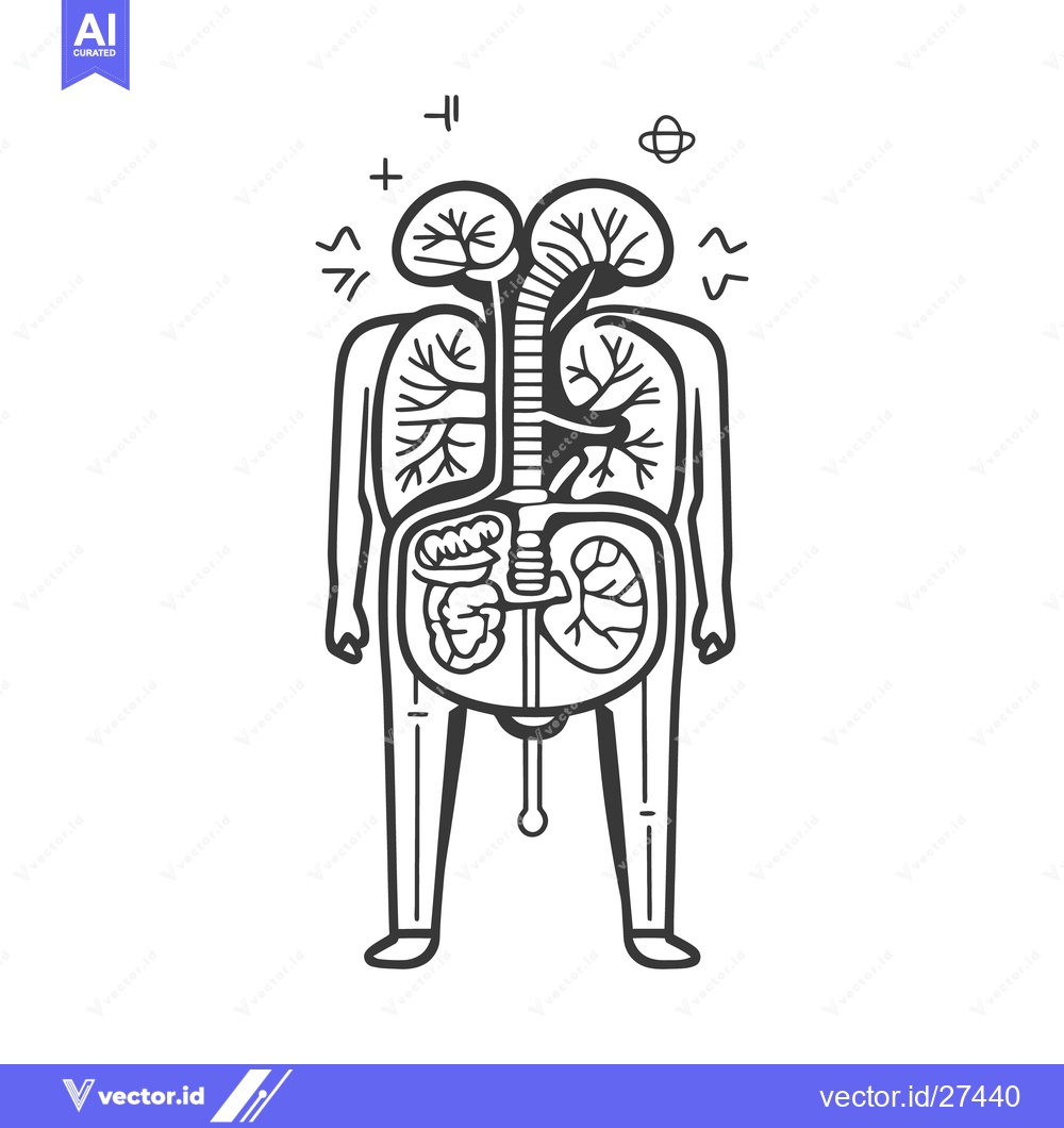 Premium Vector dari Illustrated black and white diagram of internal human anatomy