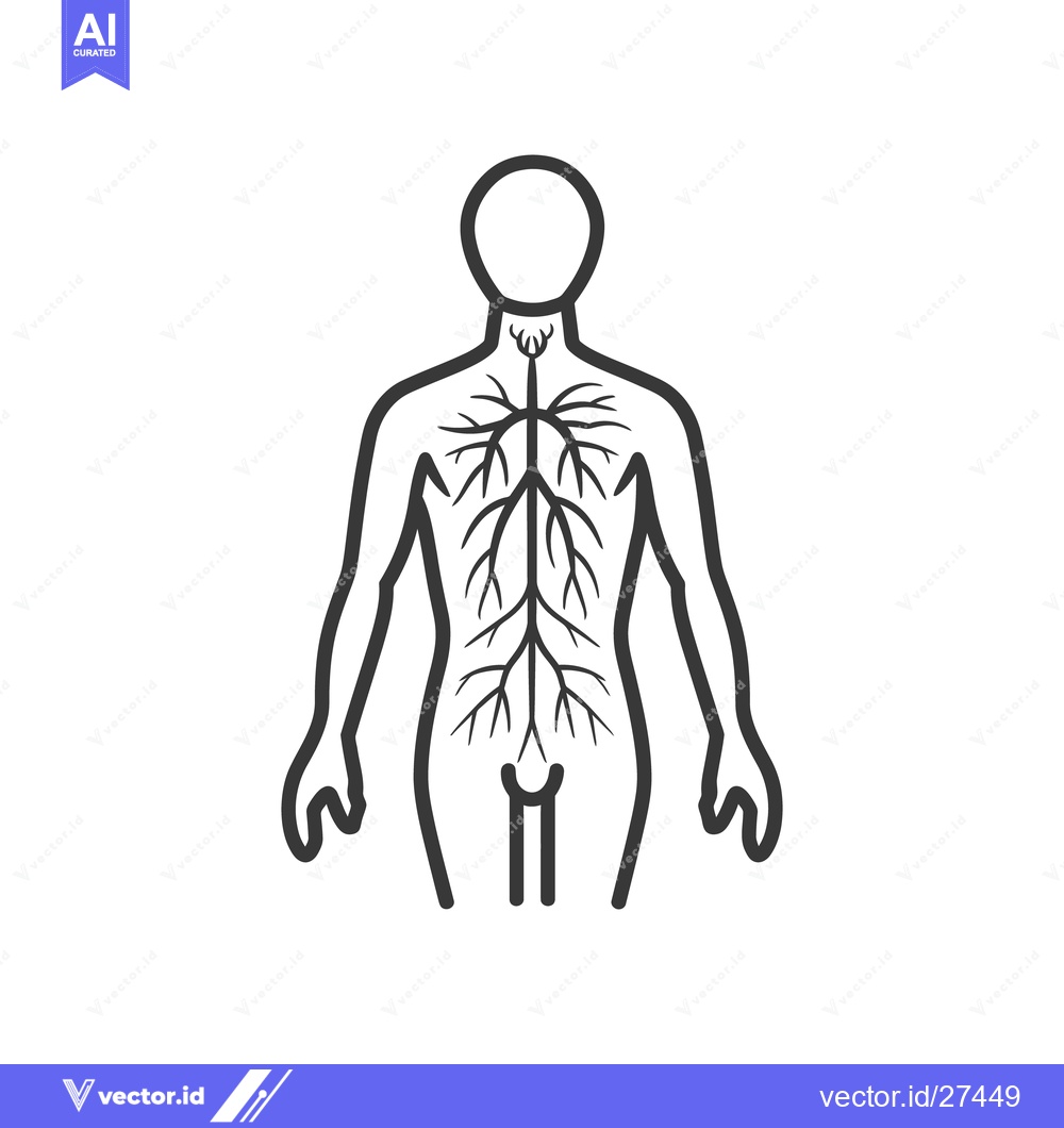 Premium Vector of The human body schematic showing neural network illustration black out