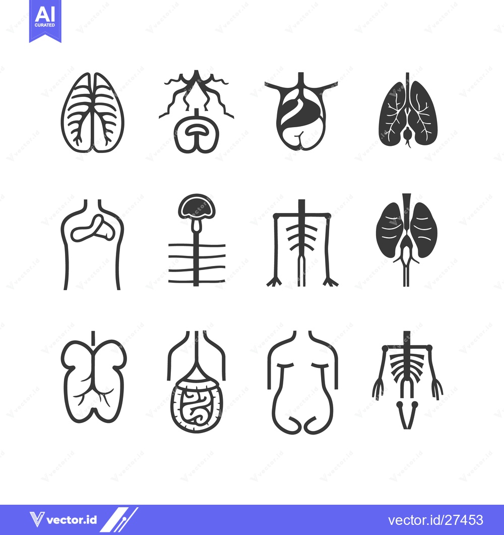 Premium Vector of Simple icon illustrations representing various human anatomical organ