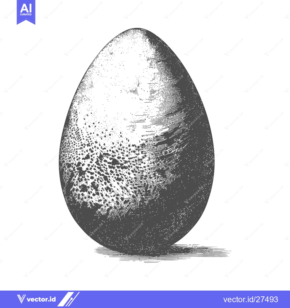 Premium Vector dari A Detailed Engraving Of A Single Bird Egg