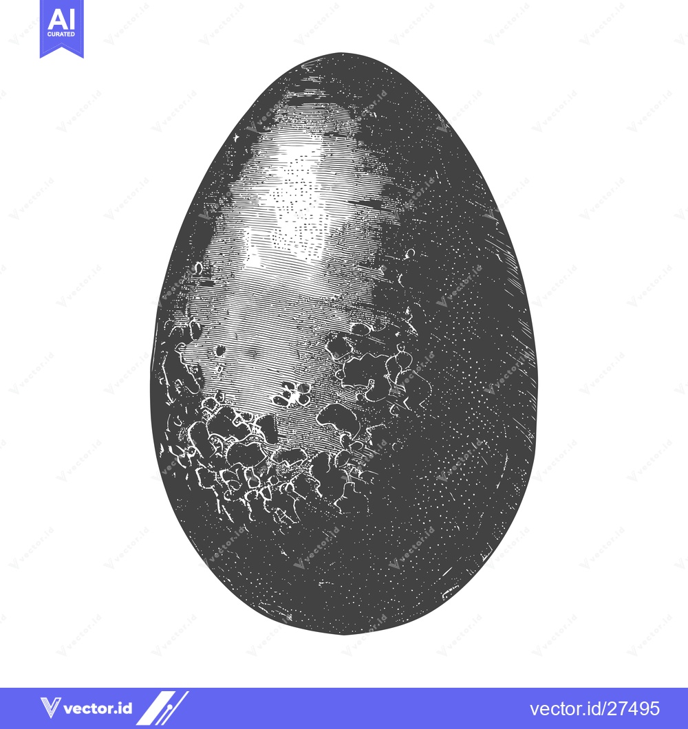 Premium Vector of A Detailed Engraving of a Cracked Bird Egg