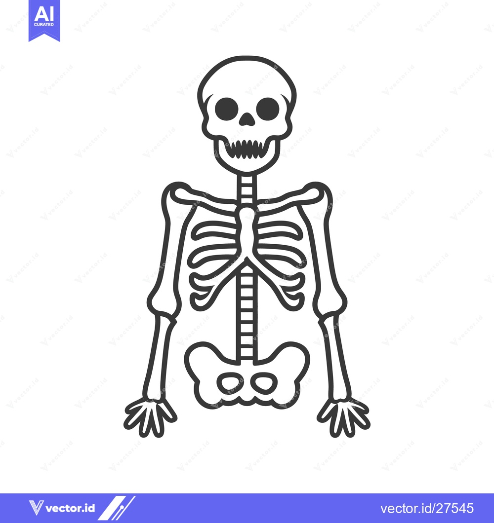 Premium Vector dari A Simple Illustrated Outline Depicting Human Skeletal System