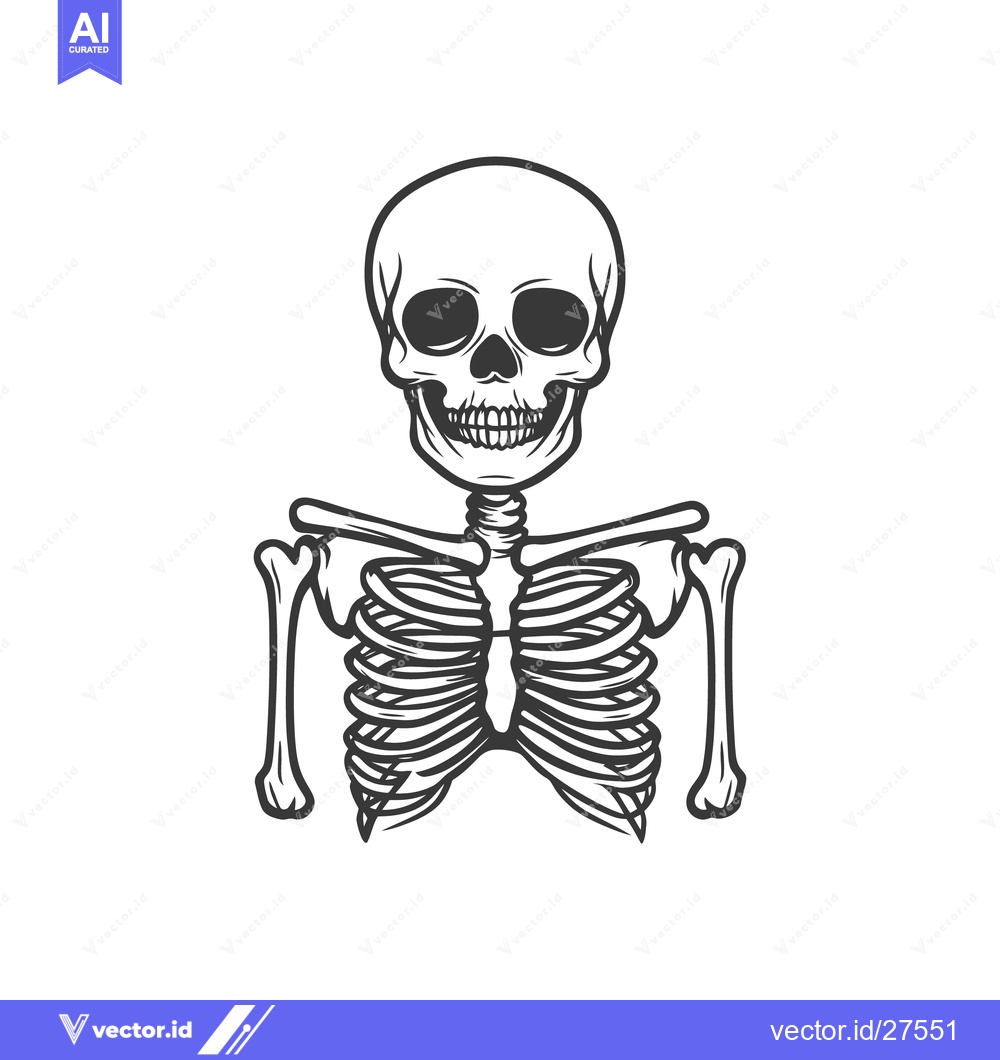 Premium Vector of Simple Illustration Depicting Human Skeletal Structure Against White B