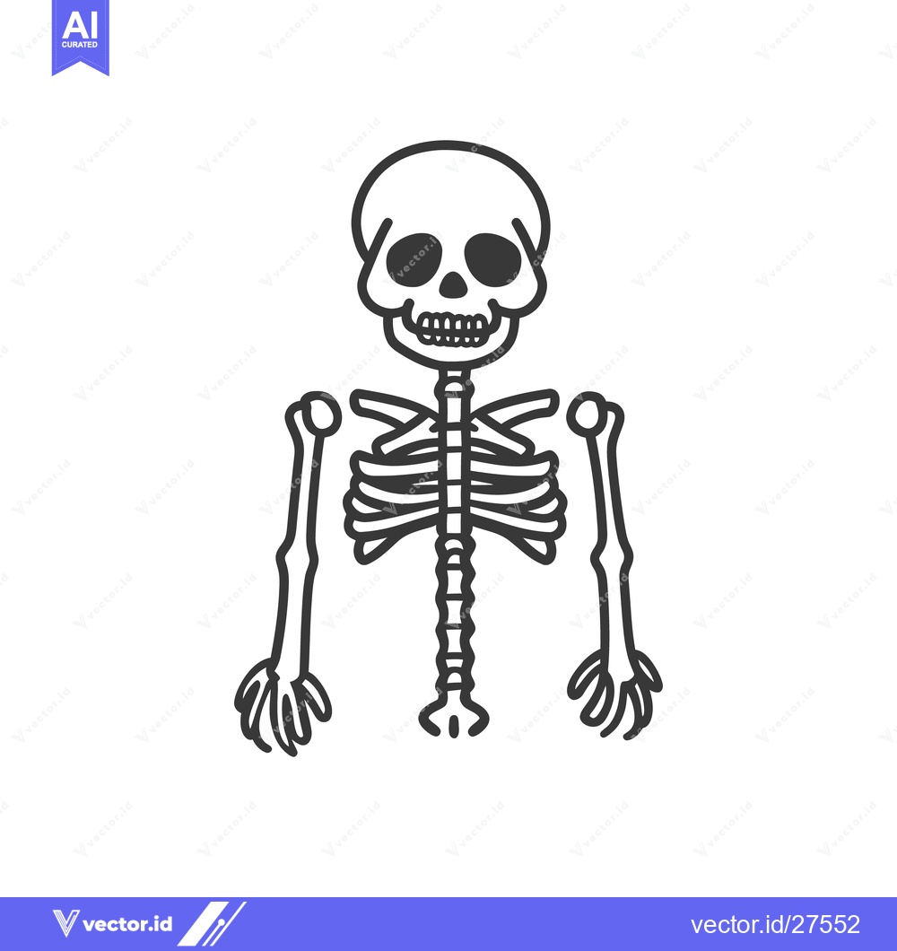 Premium Vector dari A simple black and white illustration of a human skeleton