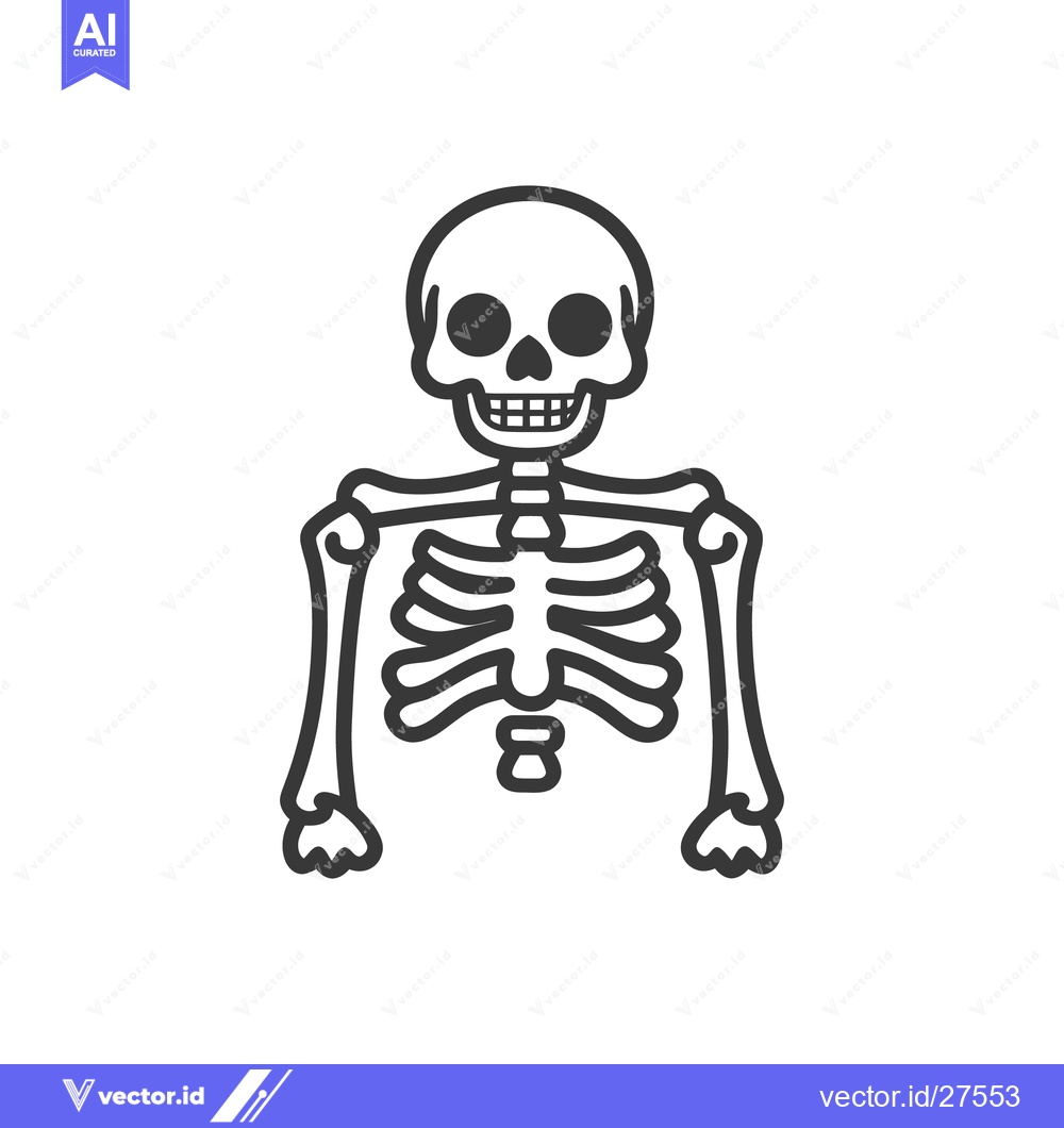 Premium Vector of A graphic illustration depicting a full human skeleton in black lines