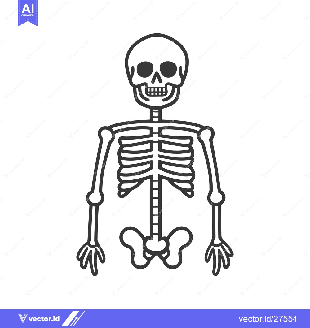 Premium Vector of A Simple Black and White Illustration of Human Skeletal Anatomy