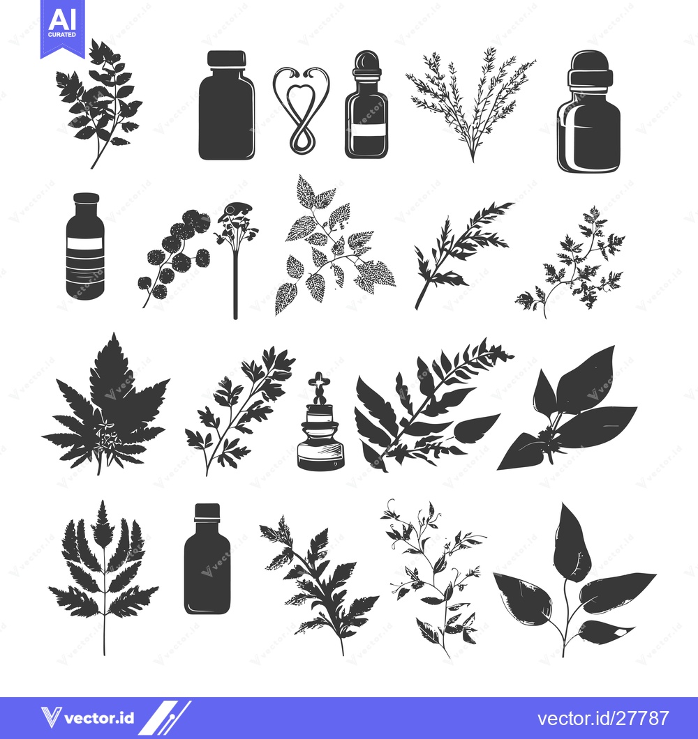 Premium Vector dari Botanical Silhouettes with Essential Oil Bottles