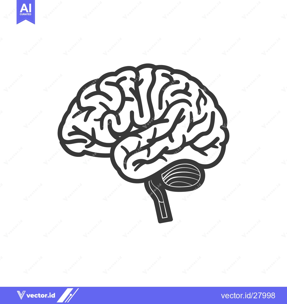 Premium Vector dari A simple illustration showing the structure of the human brain