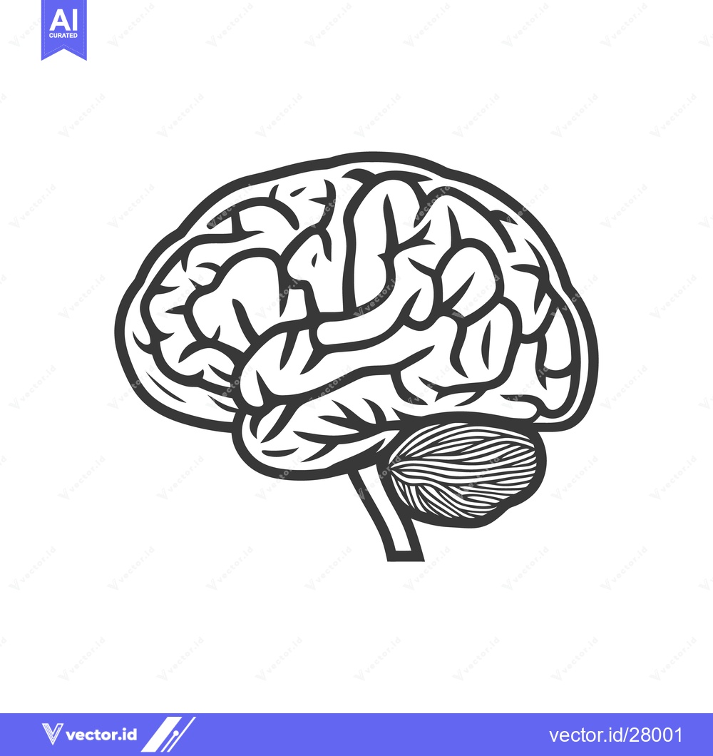 Premium Vector dari A black and white detailed illustration of the human brain