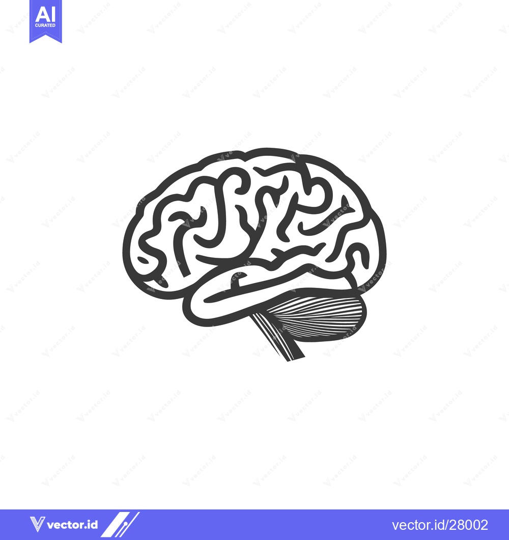 Premium Vector of An illustrated black line drawing of a human brain profile