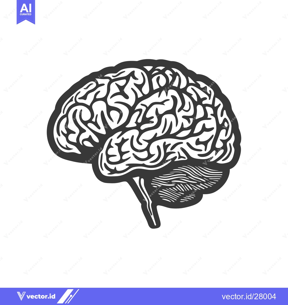 Premium Vector dari An illustrative depiction of a human brain in side profile