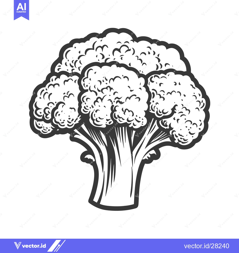 Premium Vector dari A detailed monochrome drawing of a healthy broccoli plant