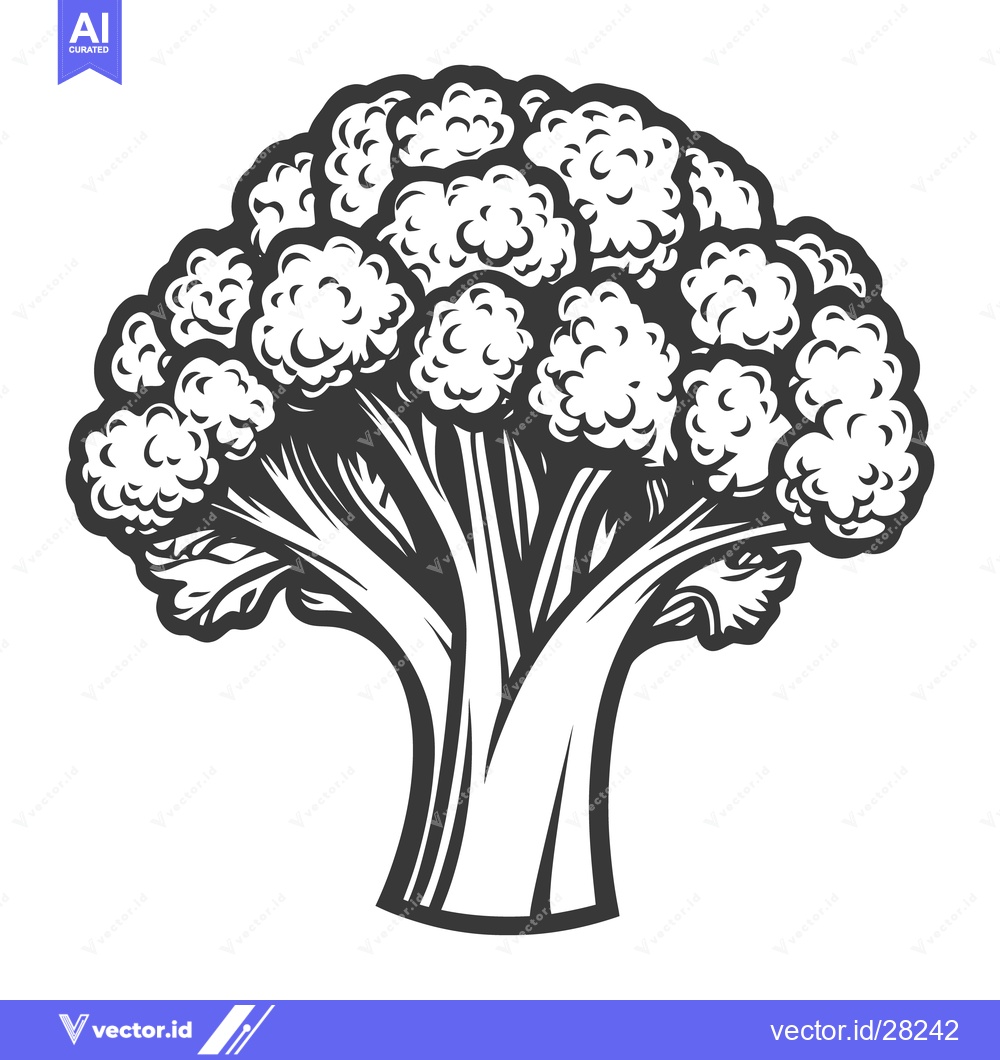 Premium Vector of A black and white illustration of a broccoli vegetable