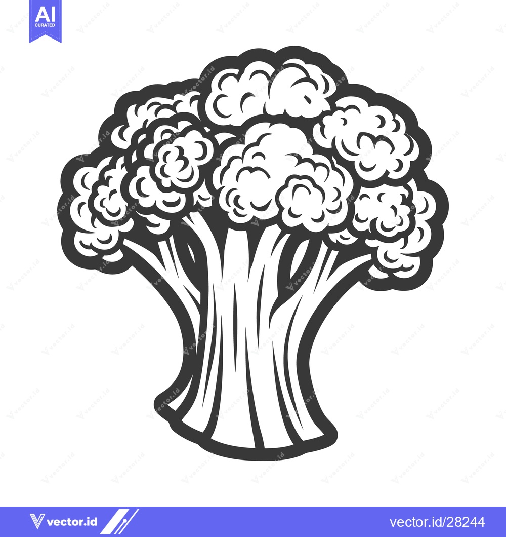 Premium Vector of An isolated black and white stylized image of a broccoli floret