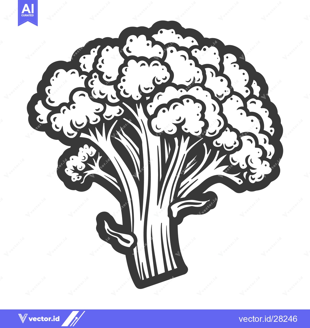 Premium Vector dari A detailed black and white illustration depicting a healthy broccoli p