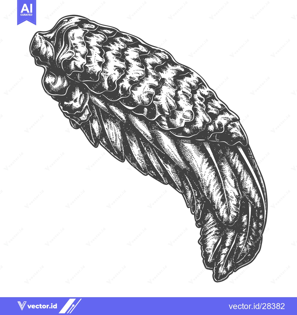 Premium Vector dari Detailed Ink Drawing Of A Birds Wing
