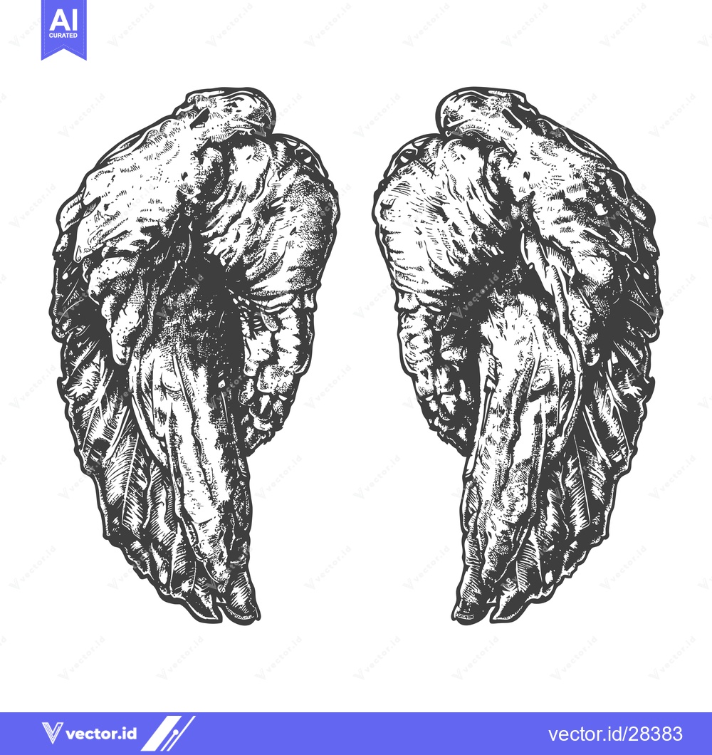 Premium Vector of Detailed Ink Drawing Of A Pair Of Wings