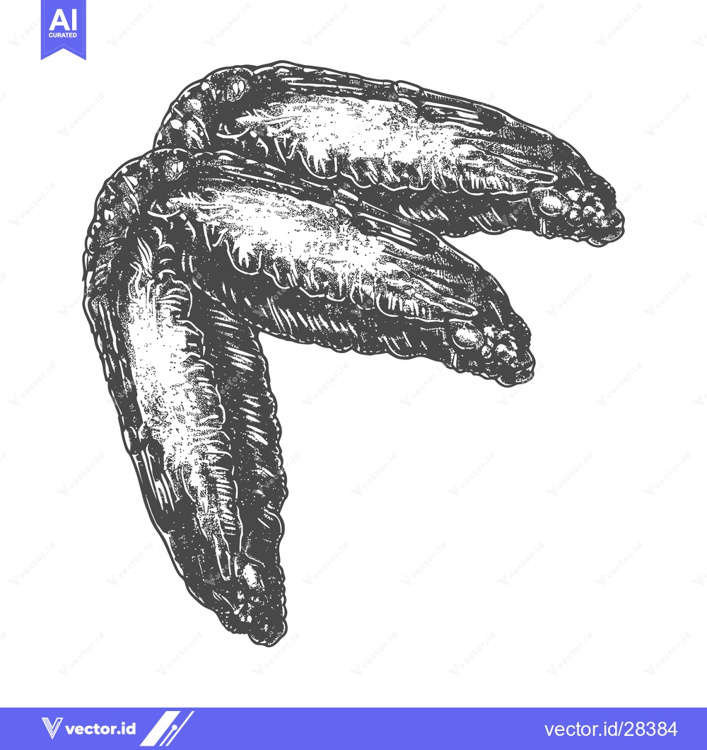 Premium Vector dari Two Detailed Drawings Of Chicken Wings