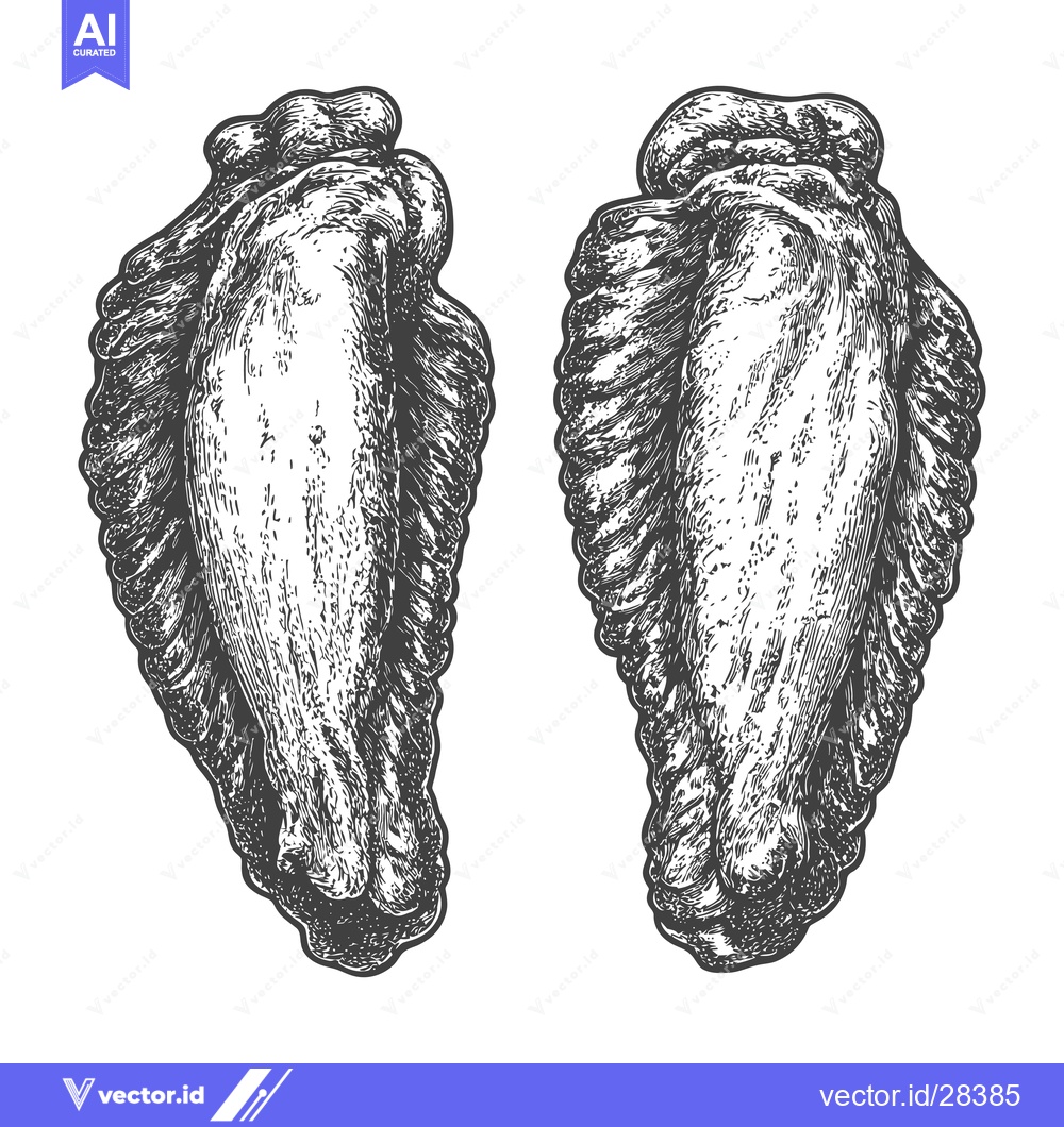 Premium Vector dari Engraved Illustration of Two Chicken Wings